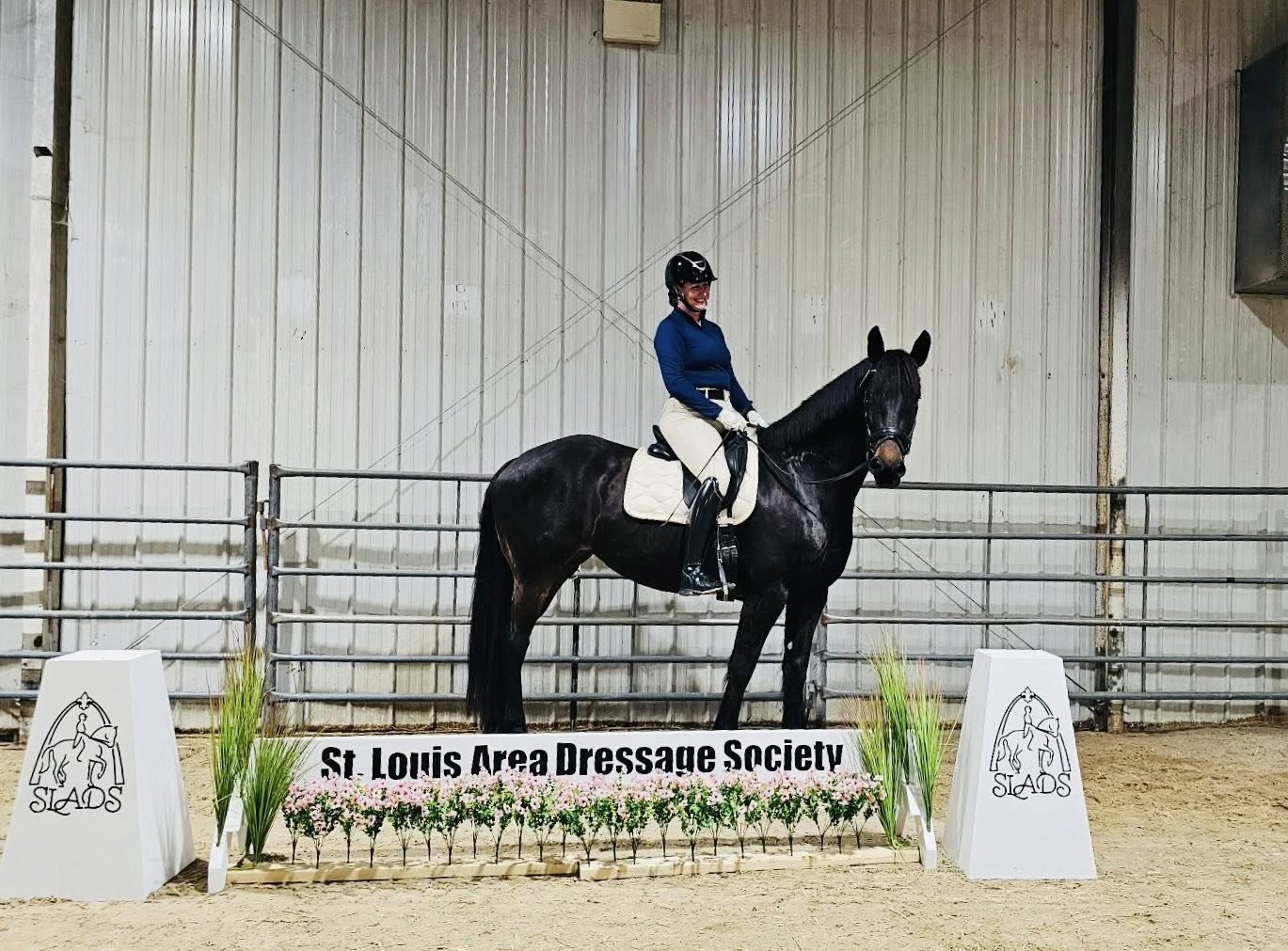 Miss Mae and rider at a St. Louis Area Dressage Society show